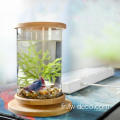 Petit aquarium en verre de base de bambou mini